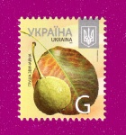 2013 N1321 ����� 8-�� �������� ������ G ����� �����